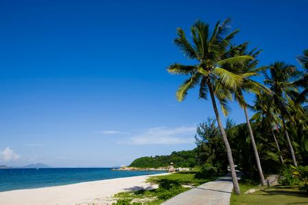 VR+旅游的創業平臺如雨后春筍般紛紛涌現出來