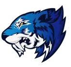 CSGO 2017 Minor中國區預選賽明日開戰