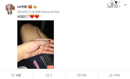 LOL冬陽被貓撓傷未注射育苗，百萬老公疑似要守寡