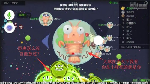 球球大作戰高端操作 虎牙直播瘋子這卡點牛B炸了