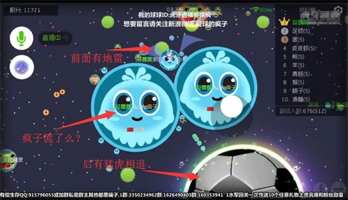 球球大作戰的陰謀 虎牙直播瘋子遭遇生死迷局