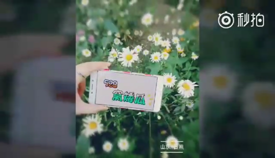 帶著西瓜看世界！觸手劍仙粉絲曬出各地告白