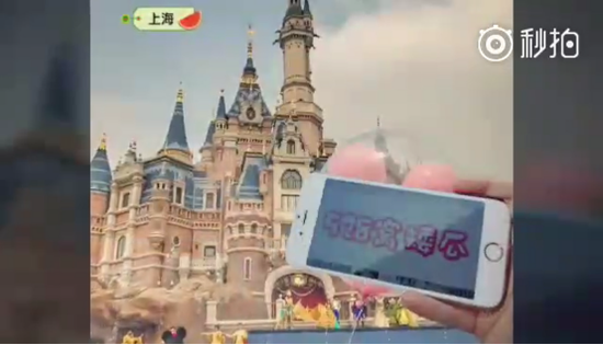 帶著西瓜看世界！觸手劍仙粉絲曬出各地告白