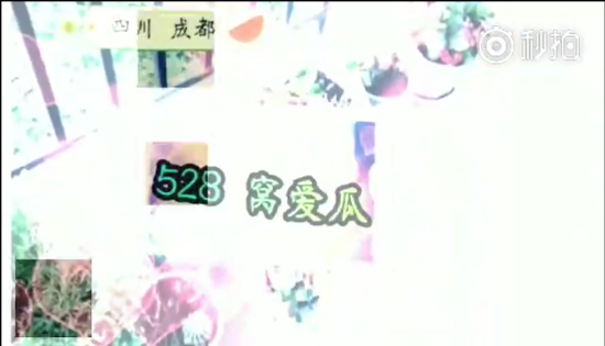 帶著西瓜看世界！觸手劍仙粉絲曬出各地告白