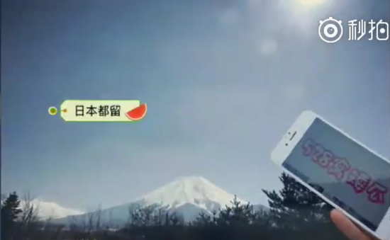 帶著西瓜看世界！觸手劍仙粉絲曬出各地告白