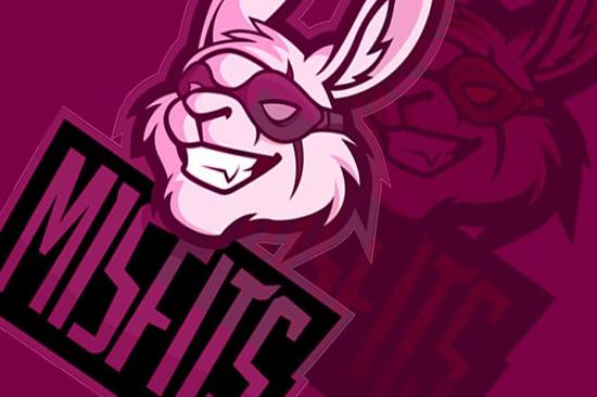 北美CSGO戰隊Misfits同教練peacemaker解約