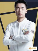 虎牙直播王者榮耀KPL最強輔助型職業選手集合