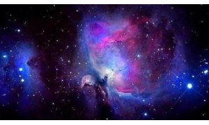 刷新世界紀錄 我學者發布“熊貓計劃”最新實驗