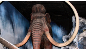 幾億年前地球經歷過的生物大滅絕是否還會重現