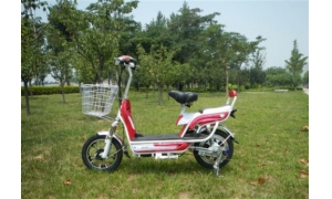 國外電動自行車領域 中國是當之無愧的王者