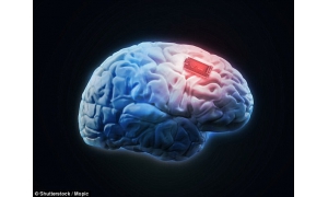 未來社會是否會進入海洋？人類進化或成現實