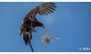 廣州啟用全國首個無人機隱形防護網 解決無人機