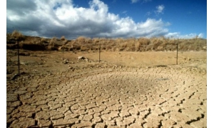 《地球未來》:這些創紀錄的夏季可能比過去