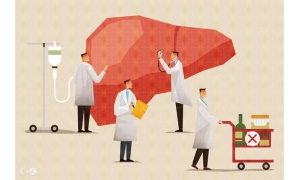 我國專家研究發現肝臟缺血再灌注損傷機機制