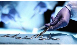 再生組織技術有望在將來用于修復受傷脊髓