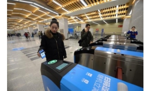 全國(guó)首個(gè)“種在城市里的螞蟻森林”亮相西安