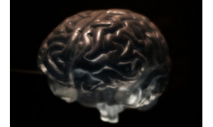 好消息!腦損傷患者治療迎來新機遇