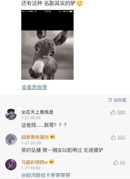 渣男最愛用頭像出爐 至尊寶100%是渣男除此之外還有這些躺槍