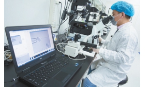 克隆猴 世界難題這樣攻克