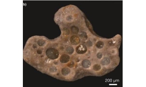 16億年前的氧氣氣泡:困在粘性微生物墊內變成化