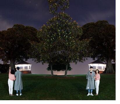 原來如此!孫堅小行星命名 小行星是唯一可以根據發現者意愿提名的