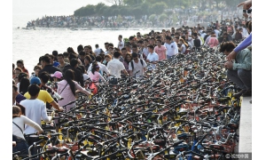 深圳暫扣共享單車 將用5個月凈化人行道