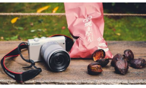 佳能微單適合旅游攜帶嗎 卓越表現令人心生喜愛