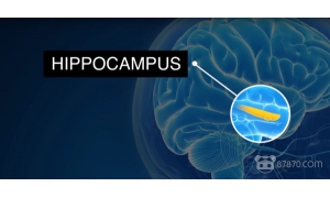 阿爾茲海默癥的新希望 加州大學洛杉磯分校研究