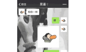 王思聰吃熱狗照片，被網友改成情侶頭像！網友