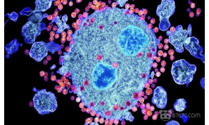 聯(lián)合國推出VR醫(yī)療宣傳片 引導年輕人進行簡單的