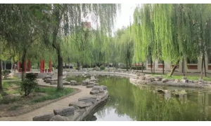 付費查詢孩子成績？撈錢行為不可取