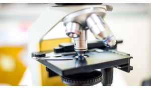 香港新經濟上市制度改革 下一個中國首富可能來