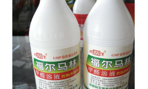 為什么使用智能食材凈化器 給你兩個(gè)不可拒絕的