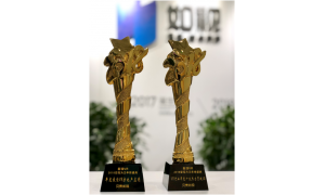 新浪VR年度盛典成功舉辦,貝殼如視VR斬獲雙料大