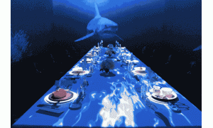 北京一沉浸式光影音樂餐廳成“網(wǎng)紅” 吸引吃貨