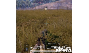 絕地求生刺激戰場伏地魔進階之路 萌新才會單純