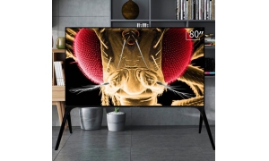 夏普80AXAA怎么安裝第三方軟件看直播？當(dāng)貝市場(chǎng)