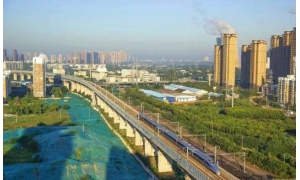 遏制黃牛倒票還需打好監管組合拳