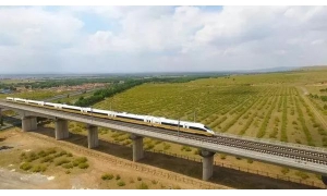 不偽造、不逃票，依法購(gòu)票乘車(chē)才是硬道理