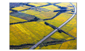 高鐵推動區域發展 打破城市貧富差距