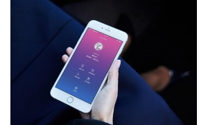 扶貧app現(xiàn)奇葩需求，把關(guān)不嚴(yán)是根源