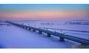 厘清有償搶票盛行背后的各方責(zé)任