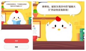 哪種動物是海洋中的瞌睡大王 螞蟻莊園3月31日答