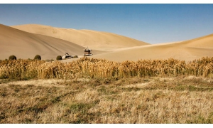 月牙泉位于中國哪個(gè)省 螞蟻莊園小課堂4月4日今