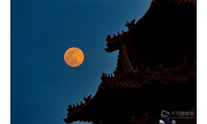 據說這是2020年最大的超級月亮,你抬頭看到了嗎