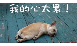 小明在工作日加班到晚上11點,那他加班的時薪應