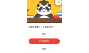 蛇能疾速爬行主要靠的是 2020年森林驛站5月24日森