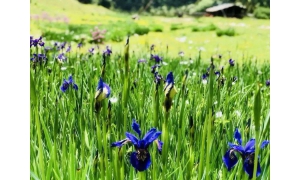 未成年人上網應當共同劃定“規矩”