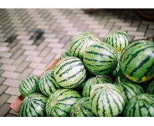 螞蟻莊園每日一題 一般我們吃的零食西瓜子是夏