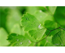 請以平常心對待地攤經濟